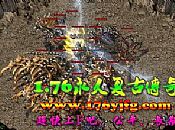 1.76中变,煞是诡异在黑色恶蛆第二日